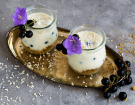 Vegane Kochschule Augsburg